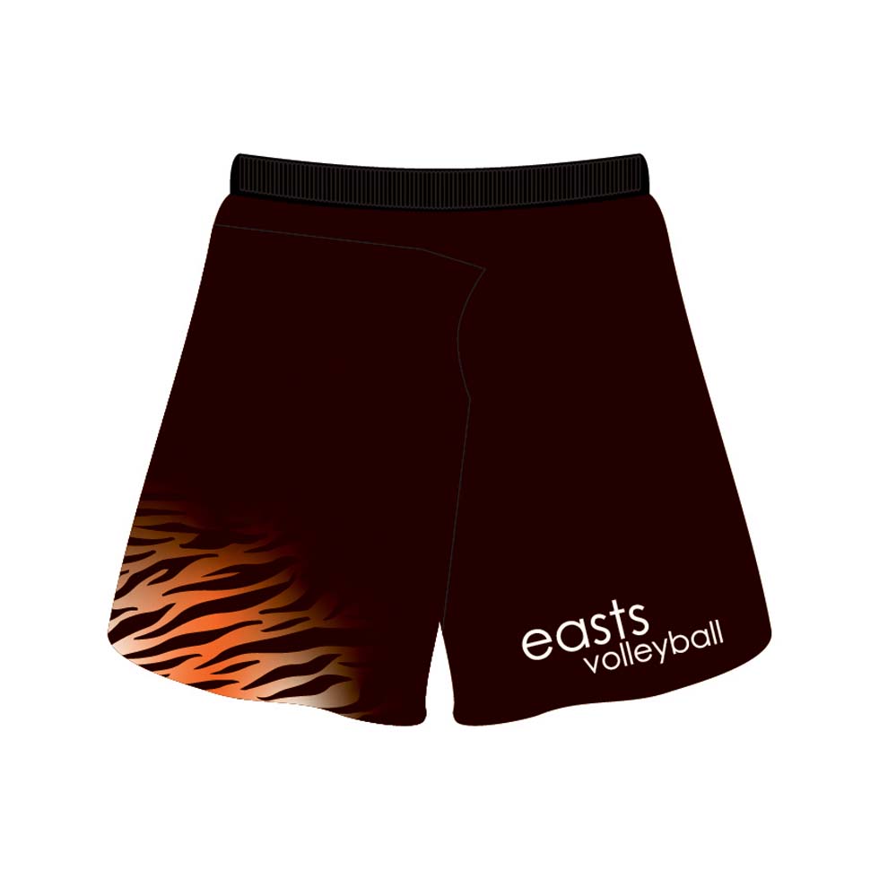 Easts Mens Playing Shorts 2