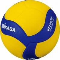 Mikasa-V1000W-Heavy-Ball
